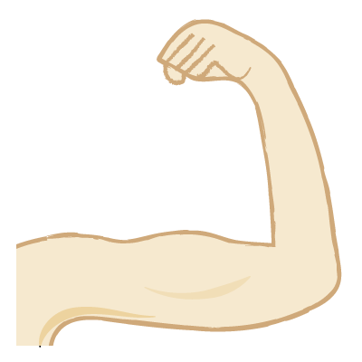 腕｜arm