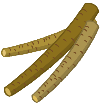 ごぼう｜burdock