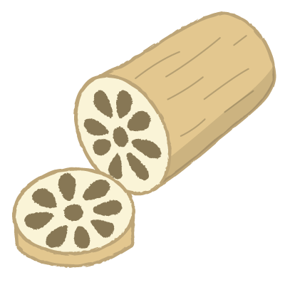 レンコン｜lotus root