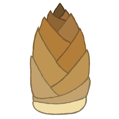 たけのこ｜bamboo shoot