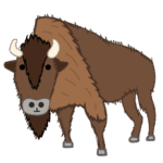 バイソン｜bison