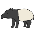 バク｜tapir