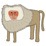 ヒヒ｜baboon