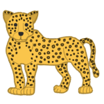 ヒョウ｜leopard