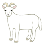 ヤギ｜goat